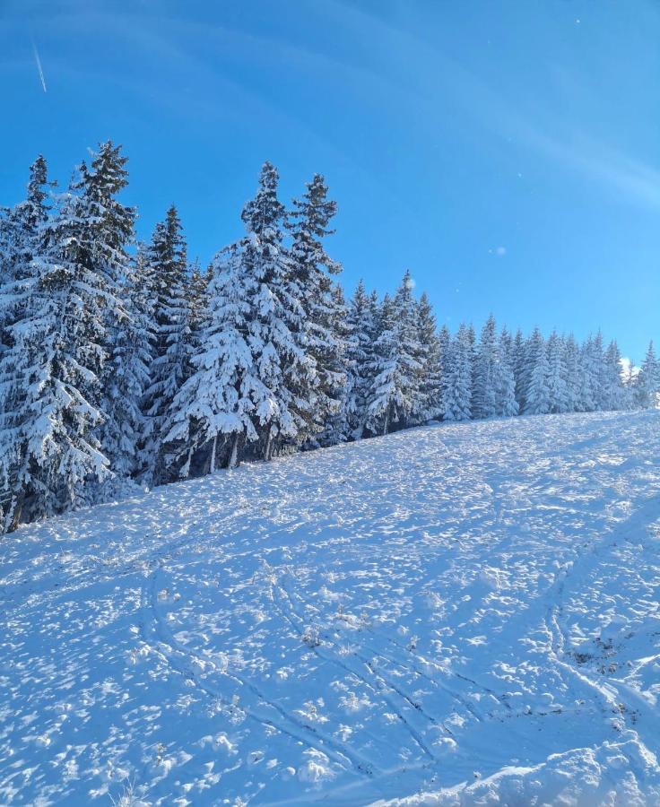 Flora Ski-Slope Studio Apartment โบโรเวทส์ ภายนอก รูปภาพ