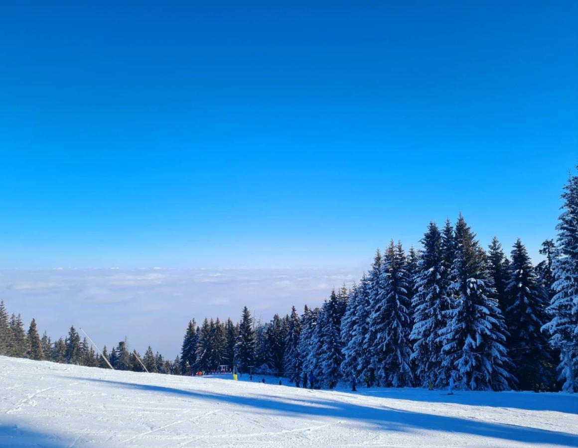 Flora Ski-Slope Studio Apartment โบโรเวทส์ ภายนอก รูปภาพ